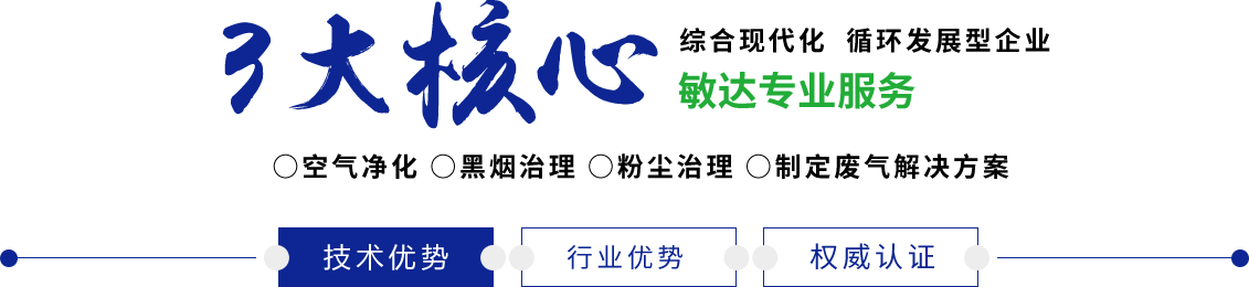 男人屌插入女人阴道的视频敏达环保科技（嘉兴）有限公司